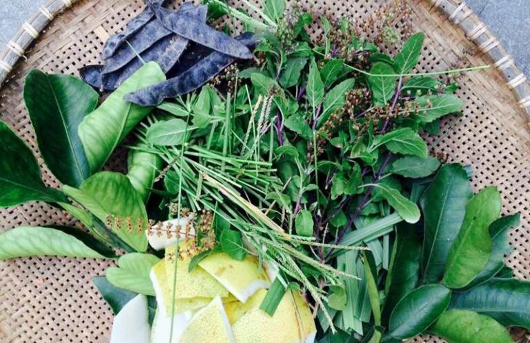 Cách trị nấm da đầu bằng nguyên liệu tự nhiên