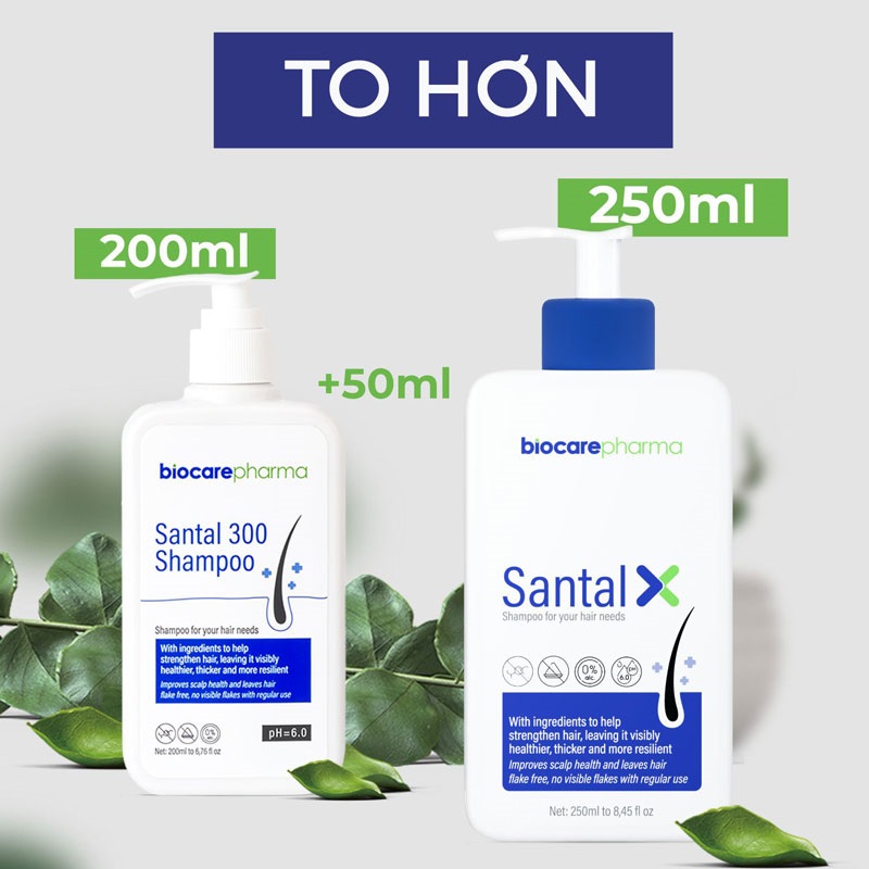 Review dầu gội Santal X -Giải pháp trị gàu hiệu quả