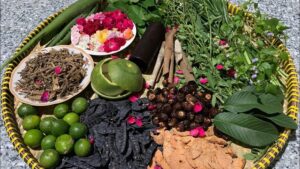 TOP các loại dầu gội thảo dược trị gàu được Chuyên gia khuyên dùng