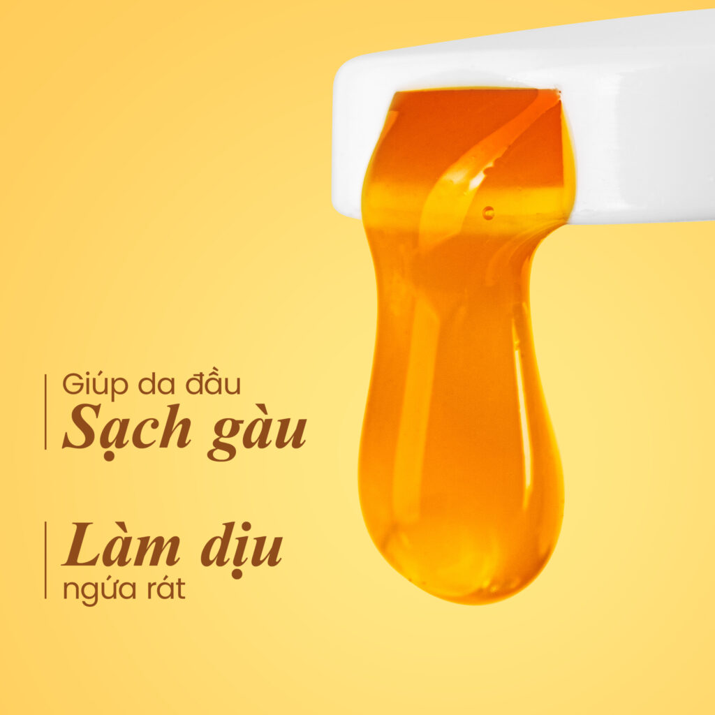 Dầu Gội Gàu Ngứa Thảo Mộc Thế Hệ Mới Santal X – 250 ML