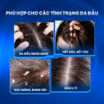 Combo 2 Chai Dầu Gội Gàu Ngứa Santal 300 Shampoo Biocarepharma