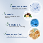 Combo Santal 300 Shampoo, Stada 200 Cream Hỗ Trợ Gàu – Ngứa