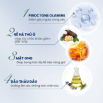 Combo dầu gội Santal 300 kết hợp tẩy tế bào chết da đầu Pink Salt 50 Scrub BiocarePharma