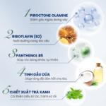 Combo dầu gội Santal 300 và dầu xả Soft 250 dành cho tóc gàu ngứa