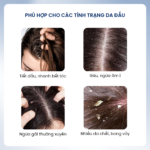 Combo dầu gội Santal X kết hợp tẩy tế bào chết da đầu Pink Salt 50 Scrub Biocarepharma