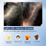 Combo dầu gội Santal 300 kết hợp tẩy tế bào chết da đầu Pink Salt 50 Scrub BiocarePharma