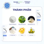 Combo gội xả dành cho tóc gàu nấm hư tổn Santal X và Soft 250 Biocare Pharma
