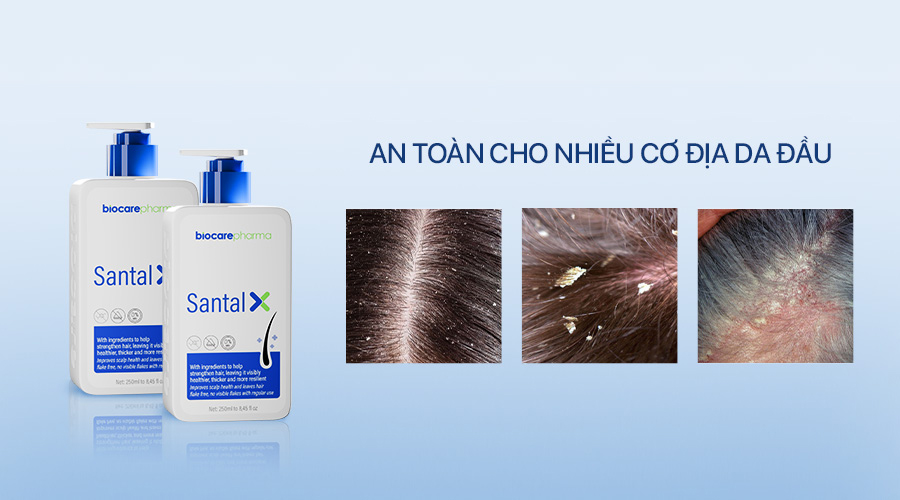 chon-dau-goi-hop-co-dia