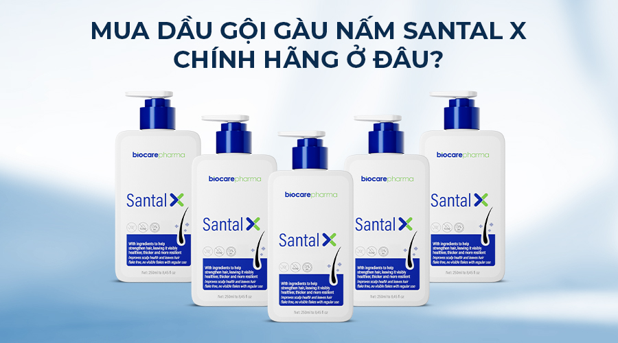 mua-dau-goi-santal-x-chinh-hang-ơ-dau
