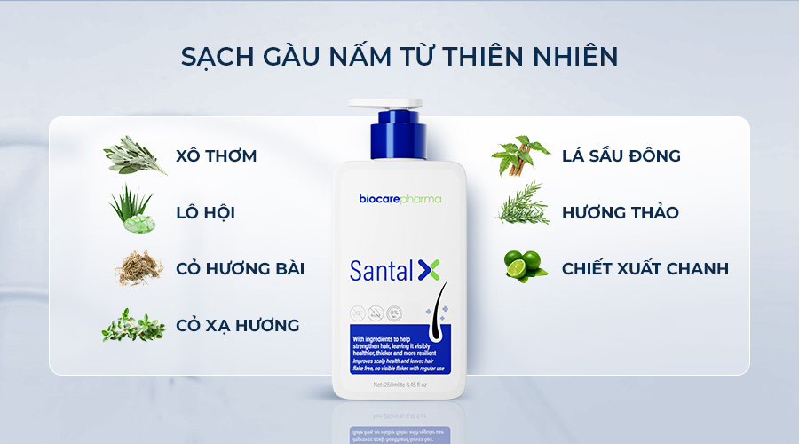 sach-gau-nam-tu-thien-nhien
