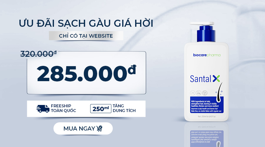 uu-dai-sach-gau-gia-hoi