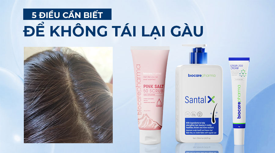 5-dieu-can-biet-giup-gau-khong-tai-lai