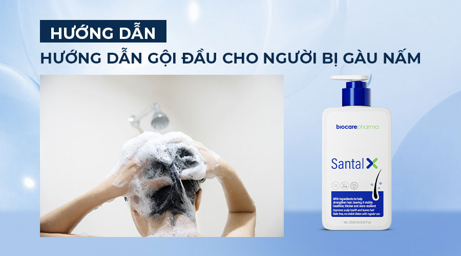 huong-dan-goi-dau-cho-nguoi-bi-gau-nam