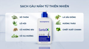 Thành phần dầu gội gàu Biocarepharma