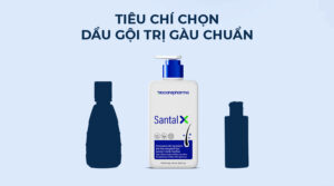 Top 7 Dầu Gội Gàu Tốt Nhất 2025: Review Chân Thực