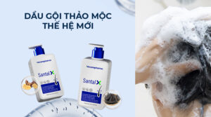 Chia sẻ kinh nghiệm chọn dầu gội gàu