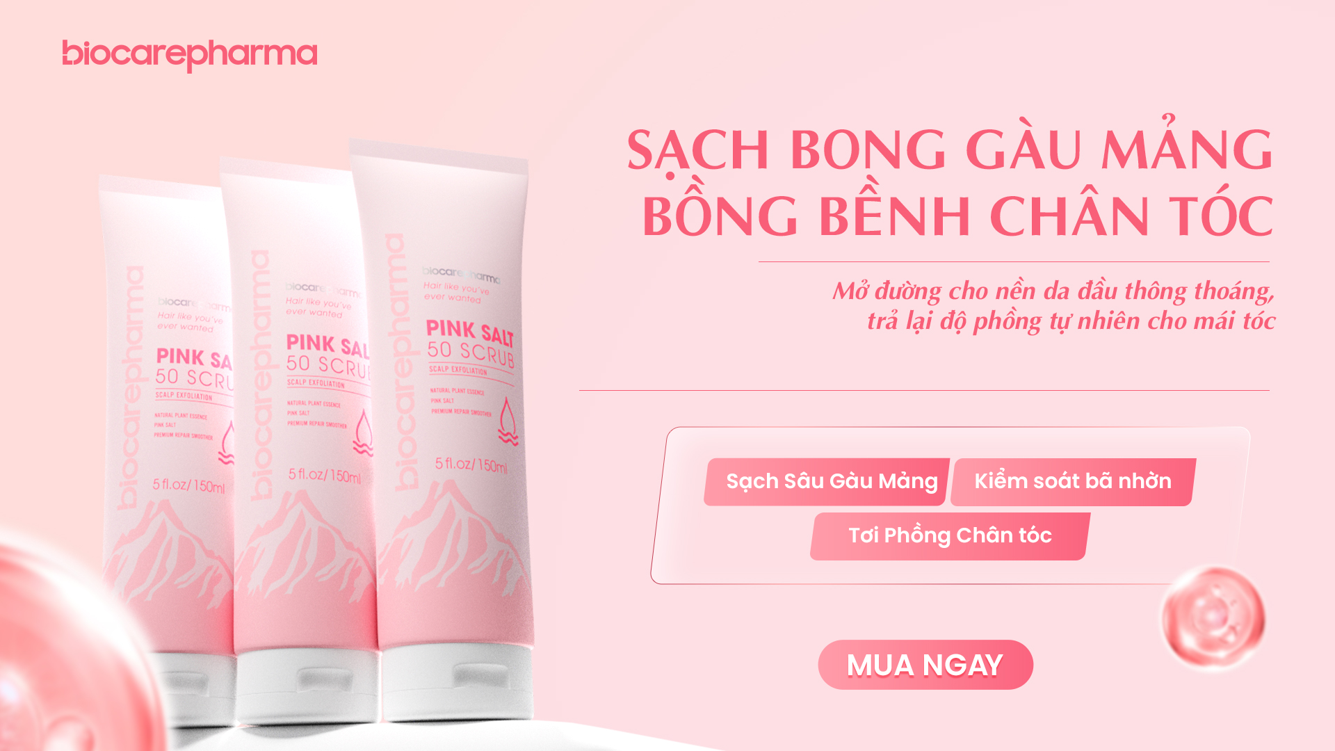 slide ngày 2/9